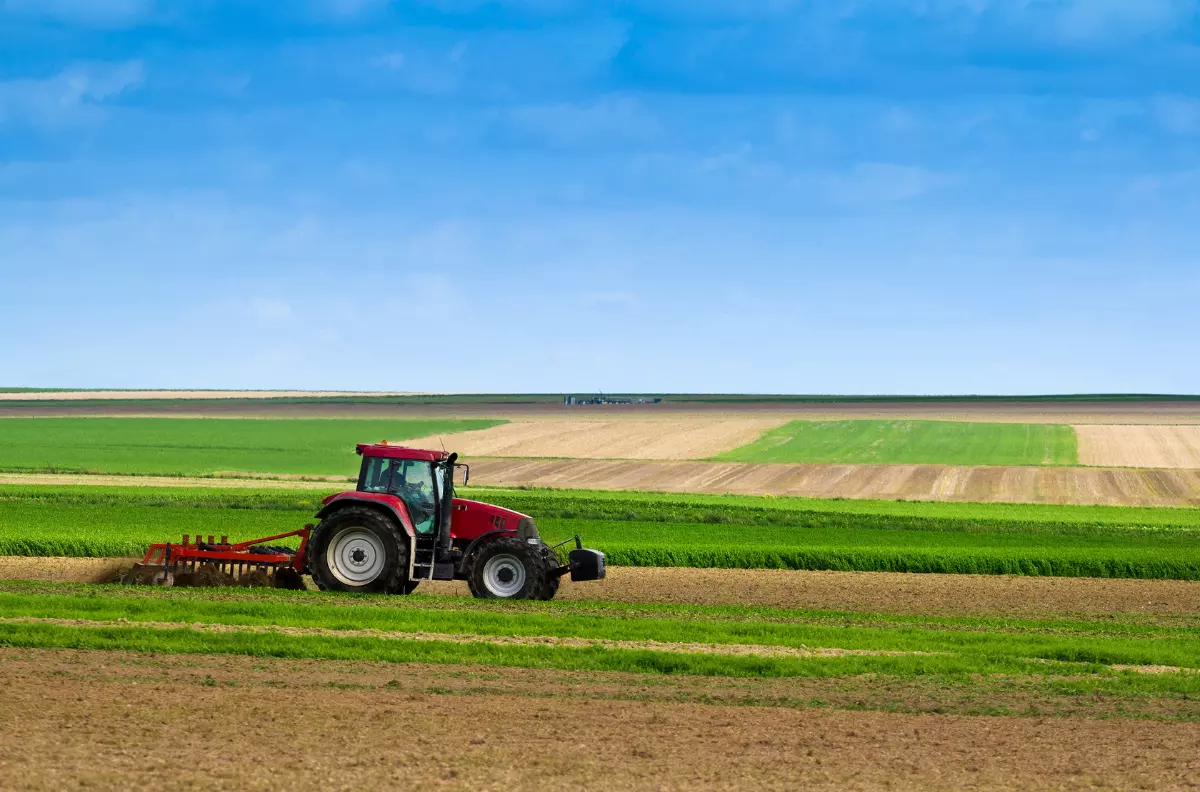 Assicurazione agricola come proteggersi al meglio